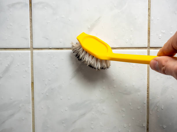 Best Insurance-Related Mold Remediation in Norwood, NJ